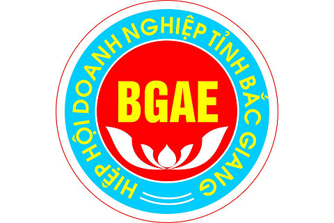 Hiệp hội Doanh nghiệp tỉnh Bắc Giang (Bac Giang Association of Enterprises - BGAE) là gì?