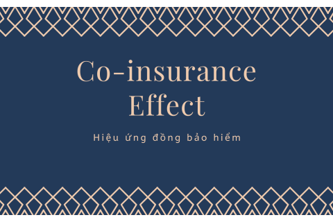 Hiệu ứng đồng bảo hiểm (Co-insurance Effect) trong sáp nhập và mua lại là gì?