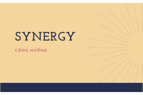 Cộng hưởng (Synergy) trong sáp nhập và mua lại là gì?