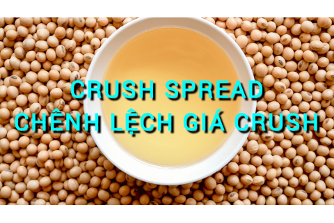 Chênh lệch giá Crush (Crush Spread) là gì? Những đặc điểm cần lưu ý