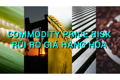 Rủi ro giá hàng hóa (Commodity Price Risk) là gì? Những đặc điểm cần lưu ý