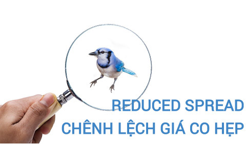 Chênh lệch giá co hẹp (Reduced Spread) là gì? Những đặc điểm cần lưu ý