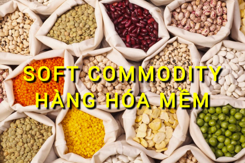 Hàng hóa mềm (Soft Commodity) là gì? Những đặc điểm cần lưu ý