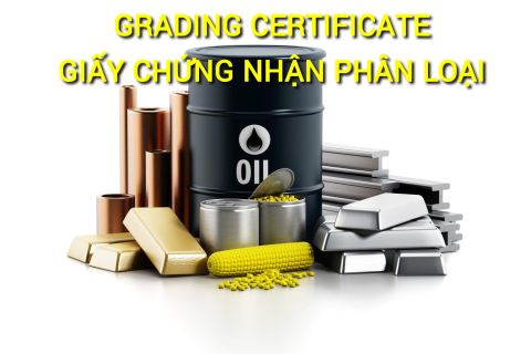 Giấy chứng nhận phân loại (Grading Certificate) là gì? Những đặc điểm cần lưu ý