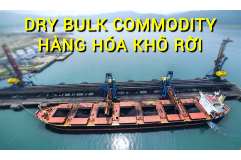 Hàng hóa khô rời (Dry Bulk Commodity) là gì? Những đặc điểm cần lưu ý