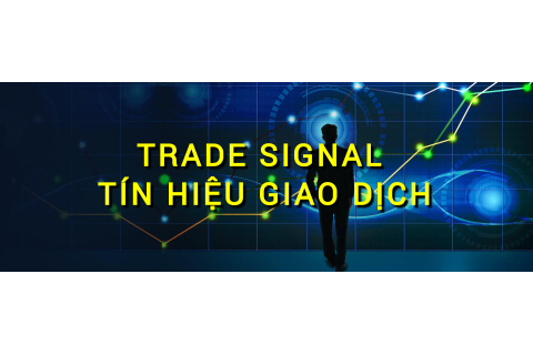 Tín hiệu giao dịch (Trade Signal) là gì? Những đặc điểm cần lưu ý