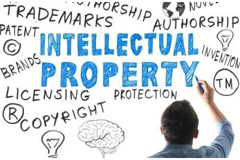 Chính sách sở hữu trí tuệ (Intellectual Property Policy) là gì? Đặc điểm và nội dung cơ bản