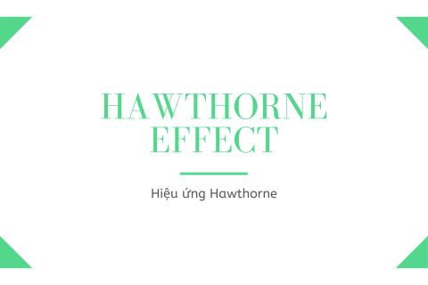 Hiệu ứng Hawthorne (Hawthorne Effect) là gì? Ví dụ về hiệu ứng Hawthorne