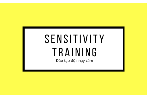 Đào tạo độ nhạy cảm (Sensitivity Training) là gì?