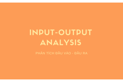 Phân tích đầu vào - đầu ra (Input-Output Analysis) là gì?