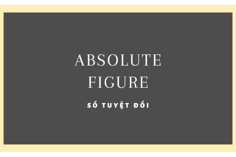 Số tuyệt đối (Absolute figure) là gì? Vai trò và phân loại