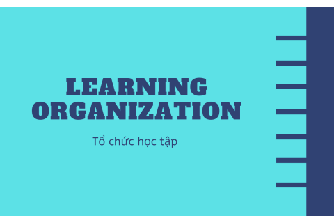 Tổ chức học tập (Learning Organization) là gì? Lợi ích của việc trở thành tổ chức học tập