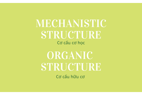 Cơ cấu cơ học (Mechanistic Structure) và Cơ cấu hữu cơ (Organic Structure) của tổ chức là gì?