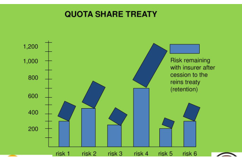 Tái bảo hiểm phân ngạch (Quota Share Treaty) là gì? Đặc điểm và ví dụ