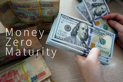 Cung tiền MZM (Money Zero Maturity) là gì? Đặc điểm của MZM