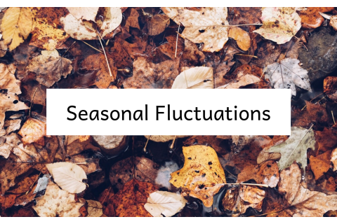 Biến động thời vụ (Seasonal Fluctuations) là gì?