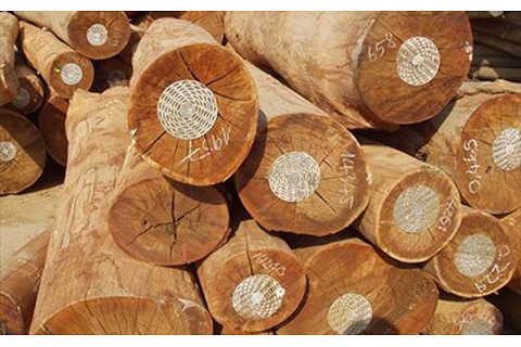 Gỗ hợp pháp (Legal Timber) là gì? Qui định về gỗ hợp pháp