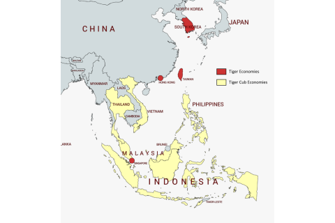 Con hổ mới châu Á (Asian Tiger Cub Economies) là gì? Nội dung về Con hổ mới châu Á