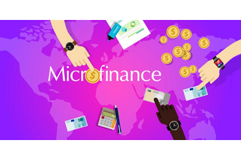 Tổ chức tài chính vi mô (Microfinance institution) thực hiện những hoạt động gì?