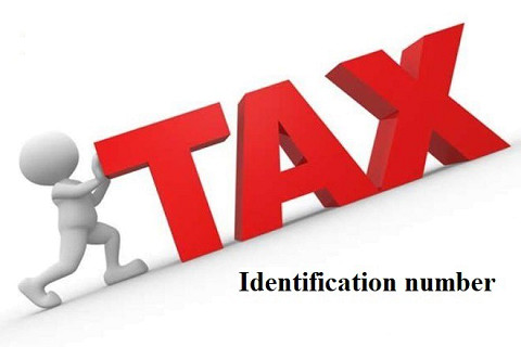 Mã số thuế (Tax identification number - TIN) là gì? Qui định về việc cấp mã số thuế