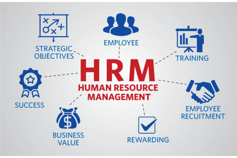 Quản trị nhân lực (Human Resource Management - HRM) là gì?