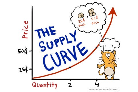 Đường cung (Supply Curve) là gì? Sự vận động của đường cung