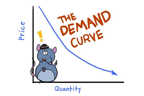 Đường cầu (Demand Curve) là gì? Sự vận động của đường cầu