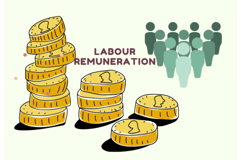 Thù lao lao động (Labour Remuneration) là gì? Các yếu tố ảnh hưởng