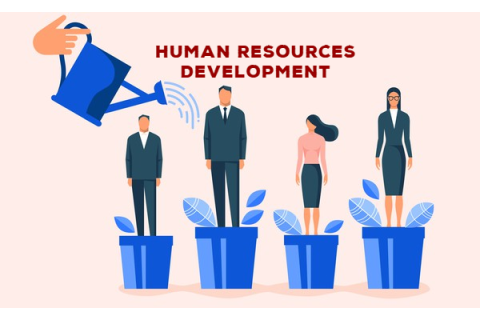 Phát triển nguồn nhân lực (Human Resource Development - HRD) là gì?