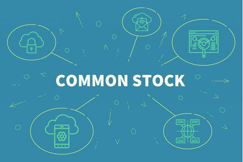 Cổ phiếu phổ thông (Common stock) là gì? Quyền lợi của cổ đông phổ thông