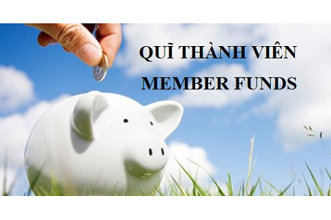 Quĩ thành viên (Member funds) là gì? Qui định chung về quĩ thành viên