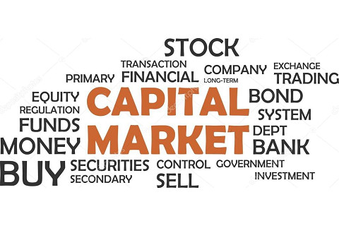 Thị trường vốn (Capital market) là gì? Các loại thị trường vốn