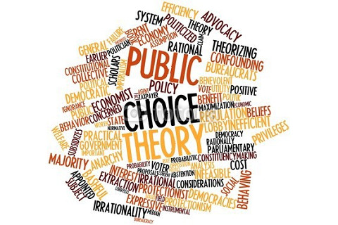 Lựa chọn công cộng (Public choice) là gì? Nguyên tắc lựa chọn