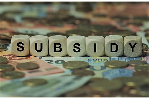 Trợ cấp (Subsidy) là gì? Phân loại trợ cấp