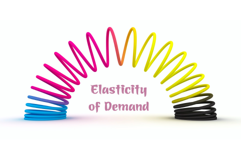 Độ co giãn của cầu (Elasticity of Demand) là gì? Phân loại và công thức xác định