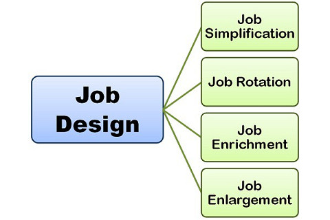 Thiết kế công việc (Job Design) là gì? Các phương pháp thiết kế công việc