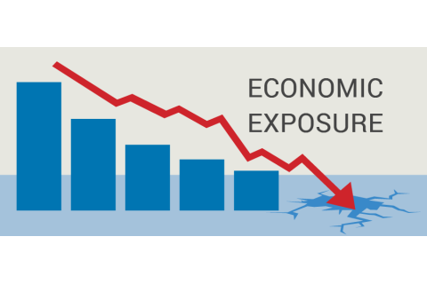 Phơi nhiễm rủi ro kinh tế (Economic Exposure) là gì? Các lưu ý