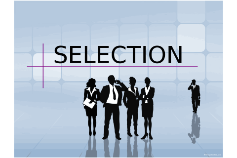 Tuyển chọn nhân lực (Human resource selection) là gì? Yêu cầu tuyển chọn