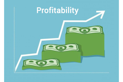 Mức sinh lời (Profitability) trong đầu tư chứng khoán là gì? Các loại mức sinh lời