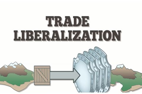 Tự do hóa thương mại (Trade Liberalization) là gì?