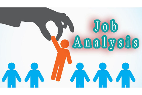 Phân tích công việc (Job analysis) là gì? Ý nghĩa của phân tích công việc