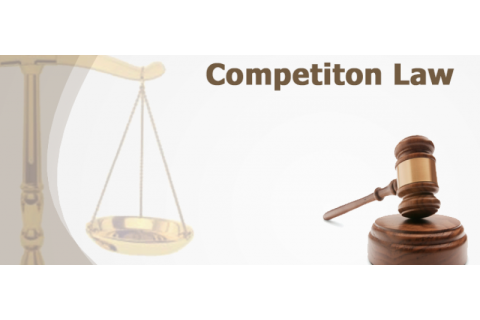 Tố tụng cạnh tranh (Competition legal proceedings) là gì? Các chủ thể tham gia