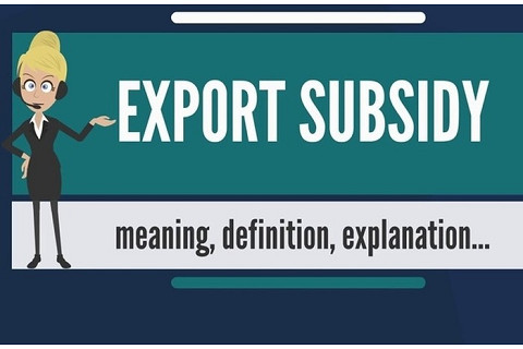 Trợ cấp xuất khẩu (Export Subsidies) là gì? Các loại trợ cấp xuất khẩu