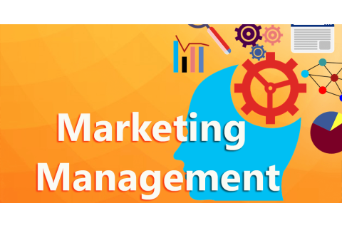 Quản trị marketing (Marketing Management) là gì? Quá trình và đặc điểm