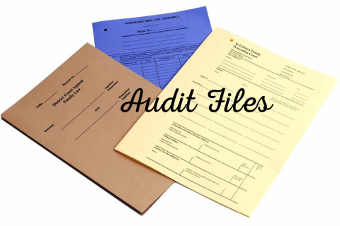 Hồ sơ kiểm toán (Audit Files) là gì? Ý nghĩa và phân loại