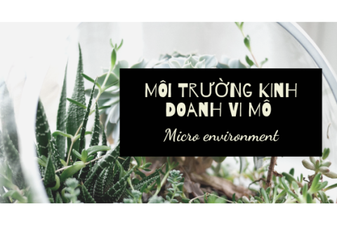 Môi trường vi mô (Micro environment) là gì? Các yếu tố cơ bản của môi trường vi mô