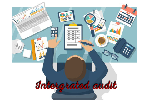 Kiểm toán liên kết (Intergrated audit) là gì? Mục đích