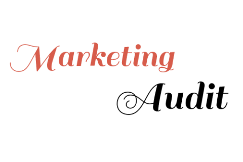 Kiểm toán marketing (Marketing Audit) là gì?