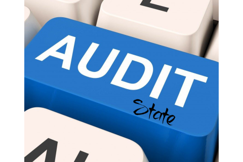 Kiểm toán Nhà nước (State Audit) là gì? Đặc trưng