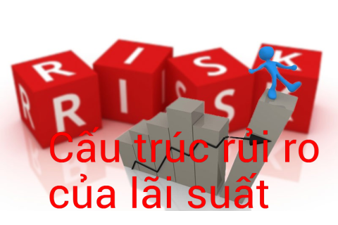 Cấu trúc rủi ro của lãi suất (Interest Rate Risk Structure) là gì?